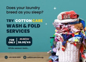 Wash and Fold Promo